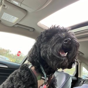 Meet your Posher, Tay